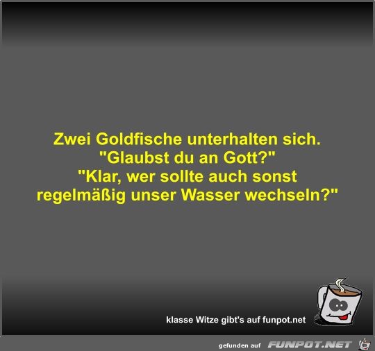 Zwei Goldfische unterhalten sich Zwei Goldfische unterhalten sich