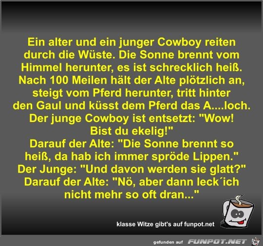 Ein alter und ein junger Cowboy reiten durch die Wste