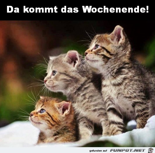 Wochenende