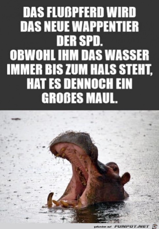 Lustiger Vergleich Lustiger Vergleich