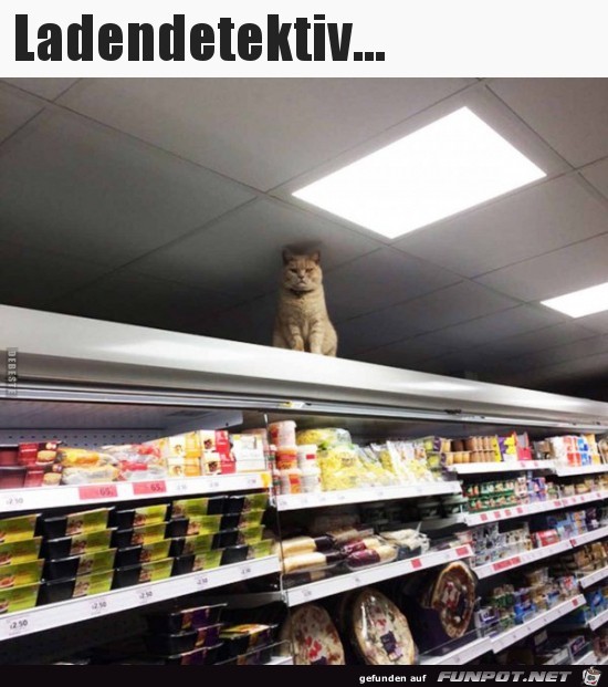 Ich beobachte dich Ich beobachte dich