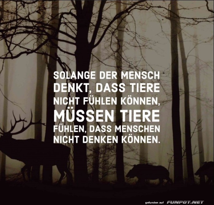 10 schne Sprche und Lebensweisheiten aus...