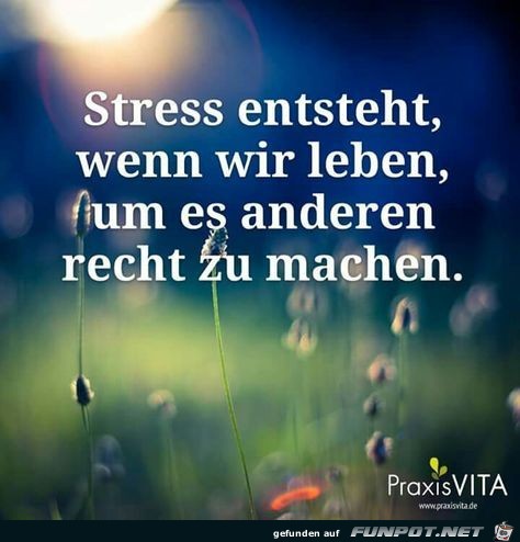 Stress entsteht