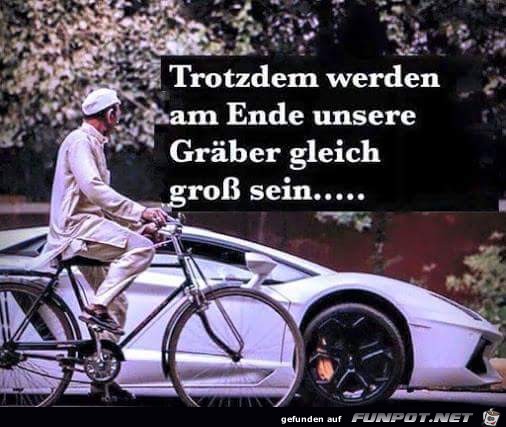 trotzdem werden am ende trotzdem werden am ende