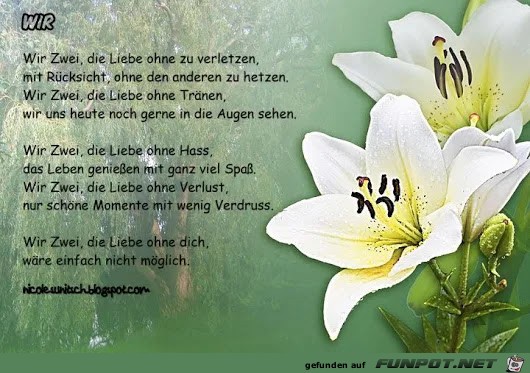 Wir - Love Wir - Love