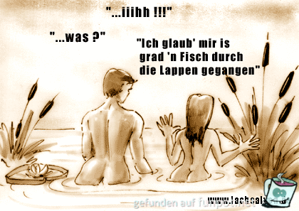 Witz-Illustration-Lappen Witz-Illustration-Lappen