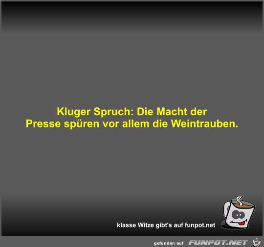 Kluger Spruch