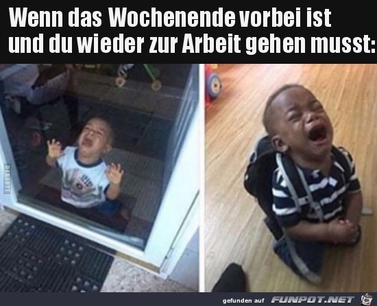Wie blöd Wie blöd