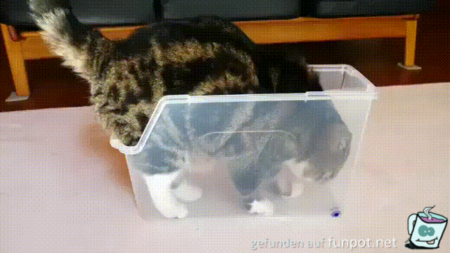 Das mach ich passend Das mach ich passend