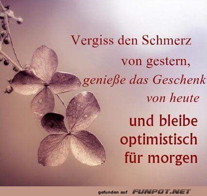 vergiss den Schmerz vergiss den Schmerz