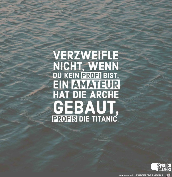 verzweifle-nicht-wenn-du-kein-profi-bist- verzweifle-nicht-wenn-du-kein-profi-bist-