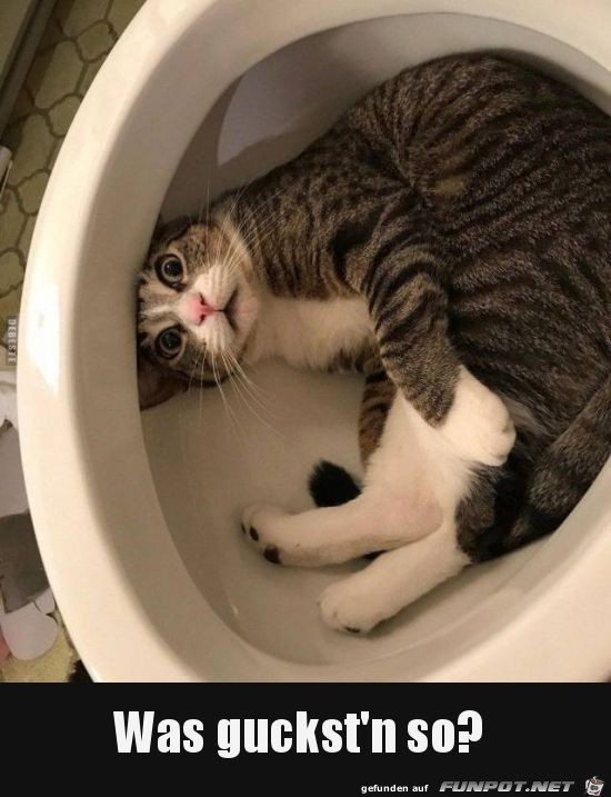 was guckst nun so was guckst nun so