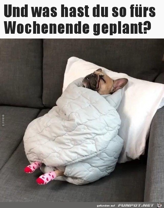 Nix geplant Nix geplant