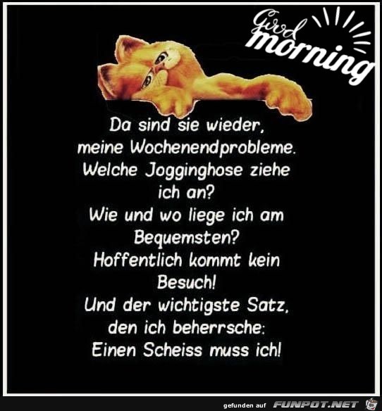 meine Wochenendprobleme meine Wochenendprobleme