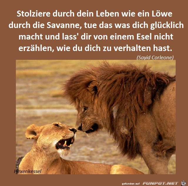 Stolziere durch dein Leben Stolziere durch dein Leben