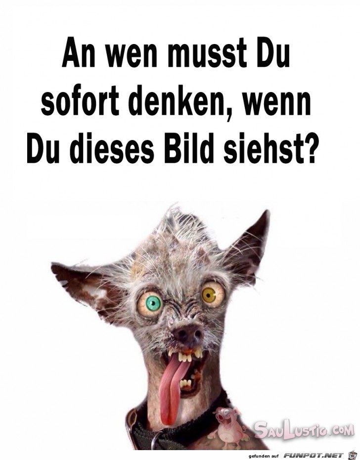An-wen-musst-Du-sofort-denken An-wen-musst-Du-sofort-denken