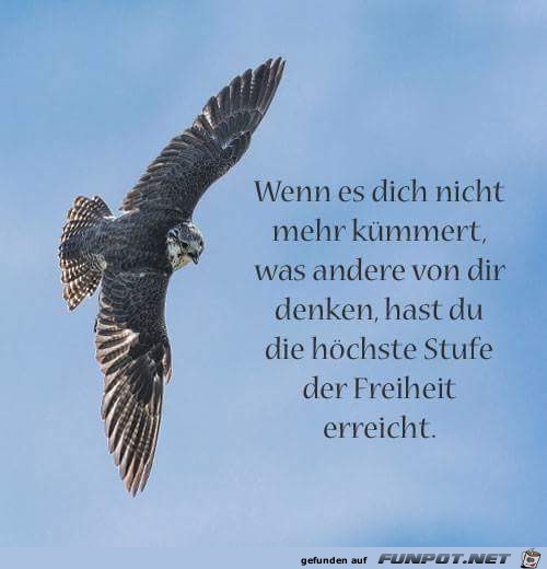 Wenn es dich nicht mehr Wenn es dich nicht mehr