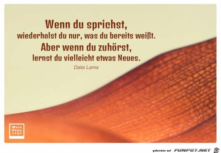 wenn du sprichst wenn du sprichst