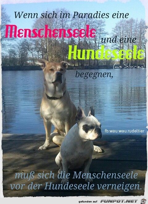 wenn sich im Paradies wenn sich im Paradies