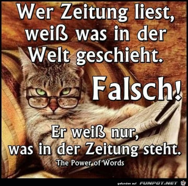 wer Zeitung liest wer Zeitung liest