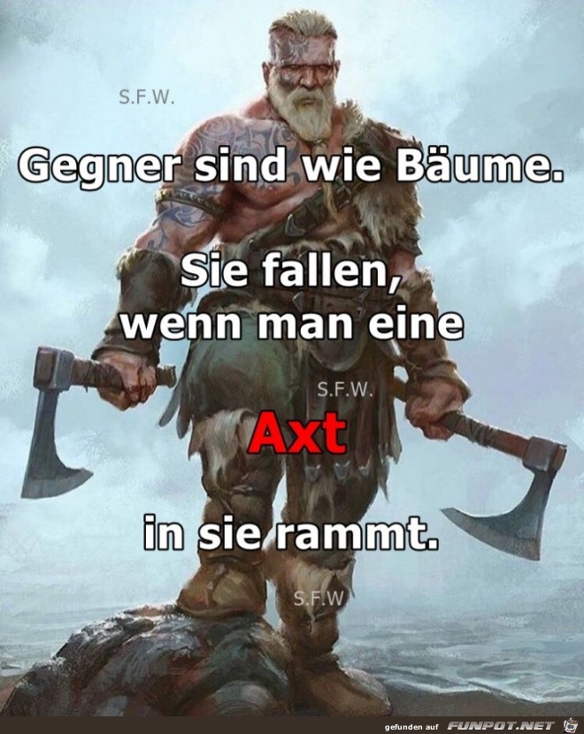 Gegner sind wie Baeume