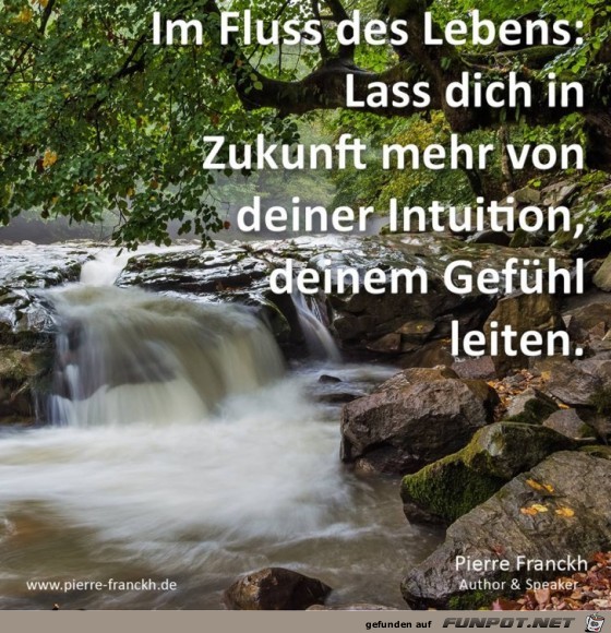 Im Fluss des Lebens