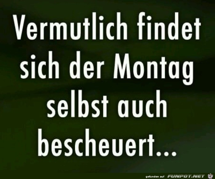 so ein Montag ist ja auch nur ein Mensch so ein Montag ist ja auch nur ein Mensch