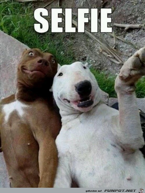 Selfie Selfie
