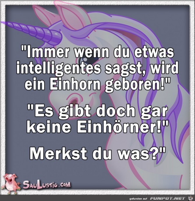 Immer-wenn-Du-was-intelligentes-sagst