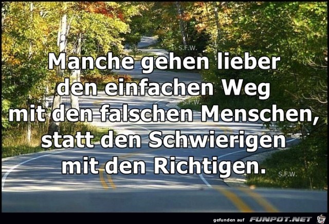 Manche gehen lieber Manche gehen lieber