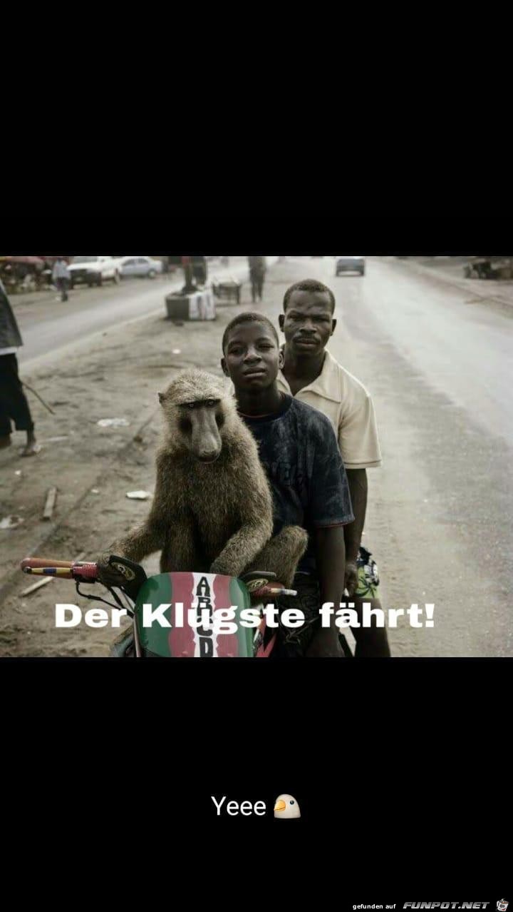 Der klügste fährt... Der klügste fährt...