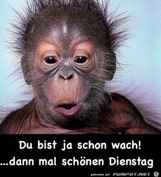 Dienstag