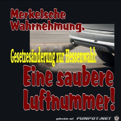 Merkelsche Wahrnehmung