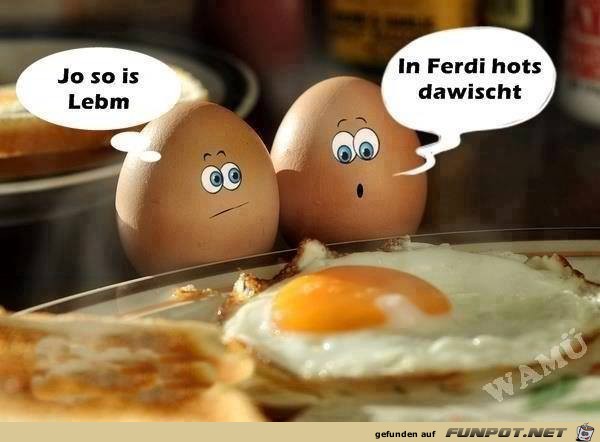 den Ferdi hat es erwischt den Ferdi hat es erwischt
