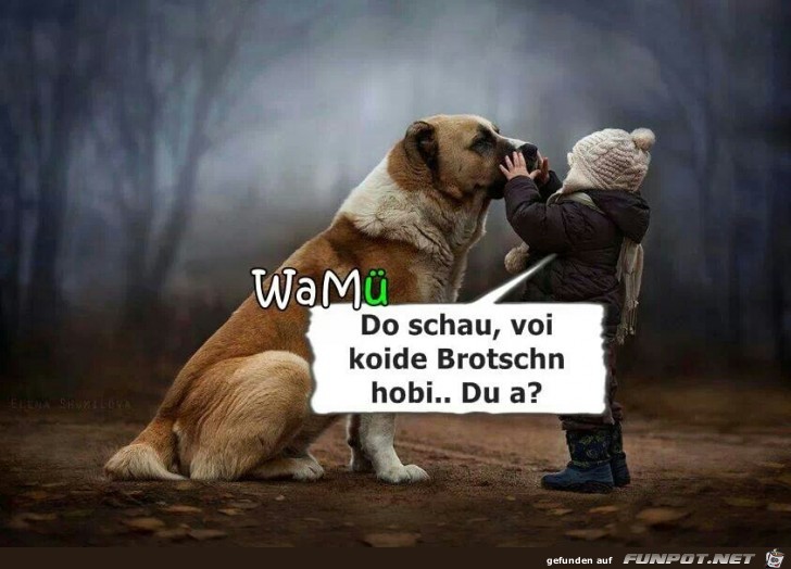 da schau da schau