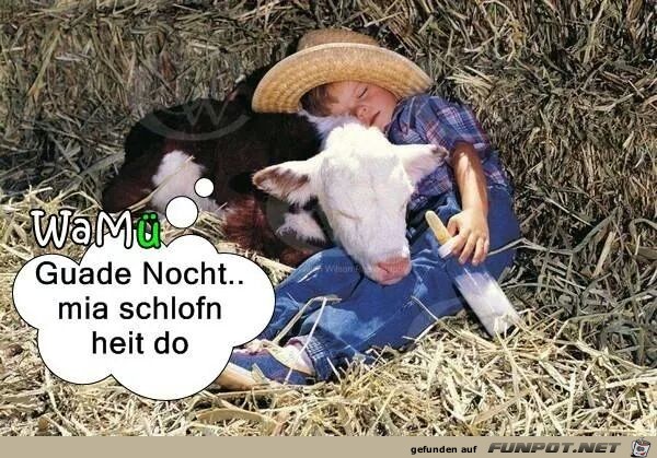 Guade nocht mia Guade nocht mia