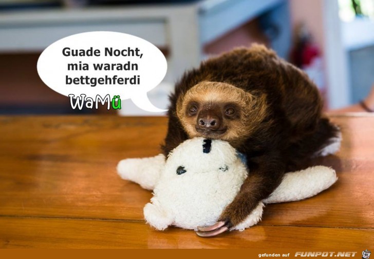 guade nocht.. guade nocht..