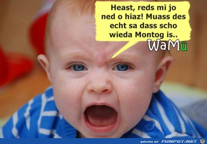 heast heast