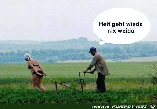 heute geht wieder nichts weiter heute geht wieder nichts weiter