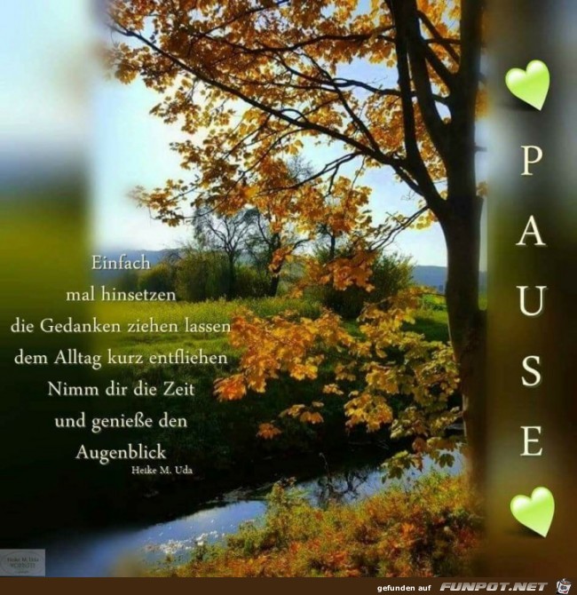 Pause Pause