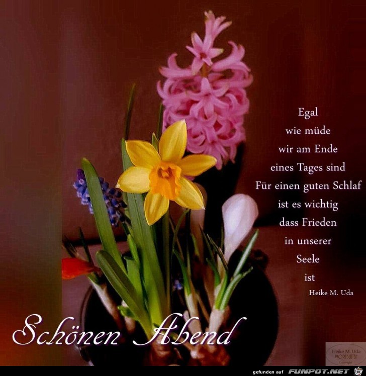 Schoenen Abend Schoenen Abend