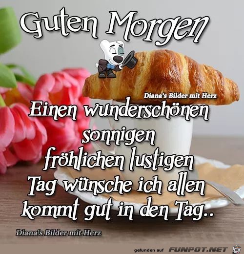 Guten Morgen---