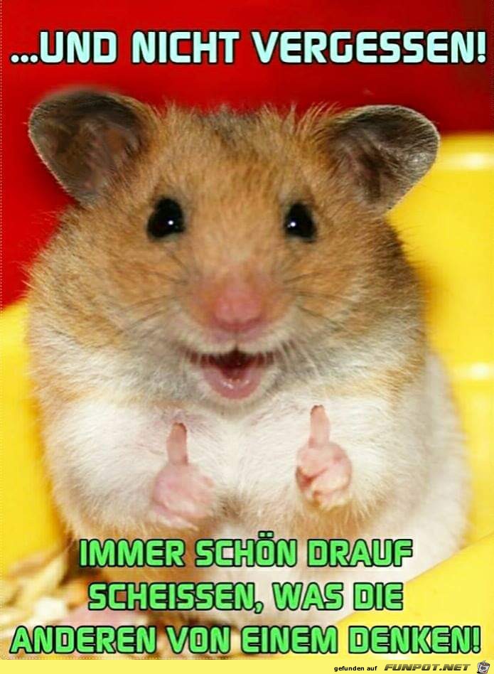 nicht vergessen nicht vergessen