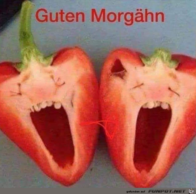 Guten Morgen