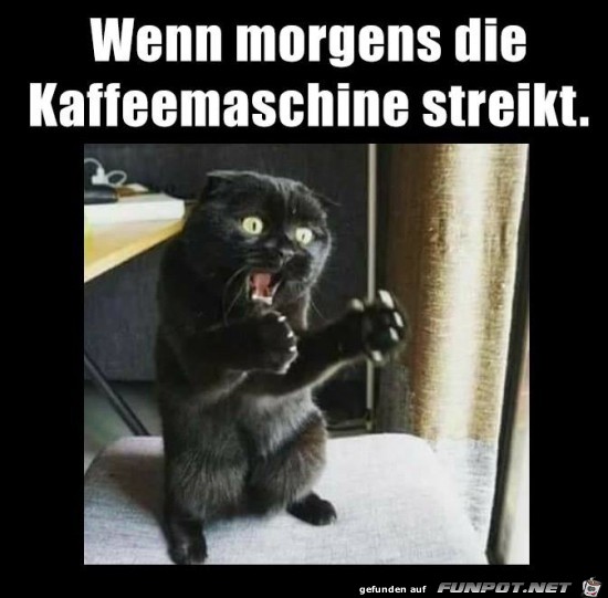 Ohne Kaffee geht nichts Ohne Kaffee geht nichts
