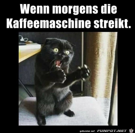 Ohne Kaffee geht nichts