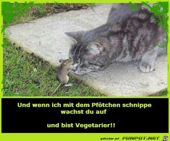 Gefhrlicher Versuch