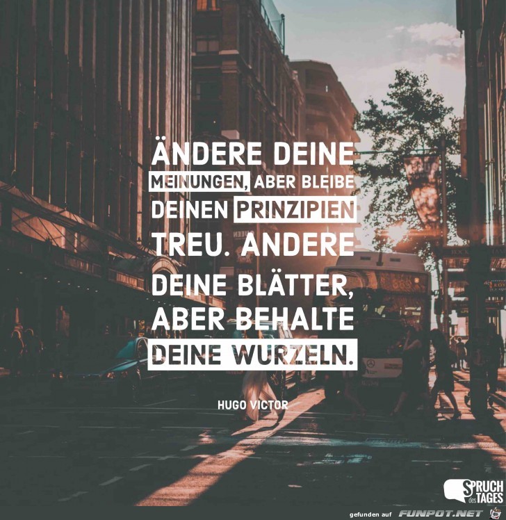 aendere-deine-meinungen-aber-bleibe-deinen-prinzipien-treu-a aendere-deine-meinungen-aber-bleibe-deinen-prinzipien-treu-a