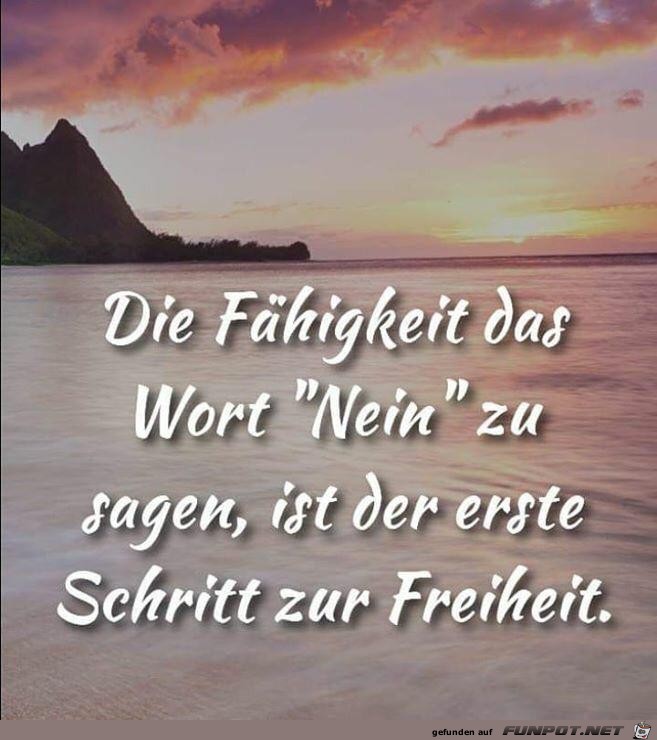 die Faehigkeit