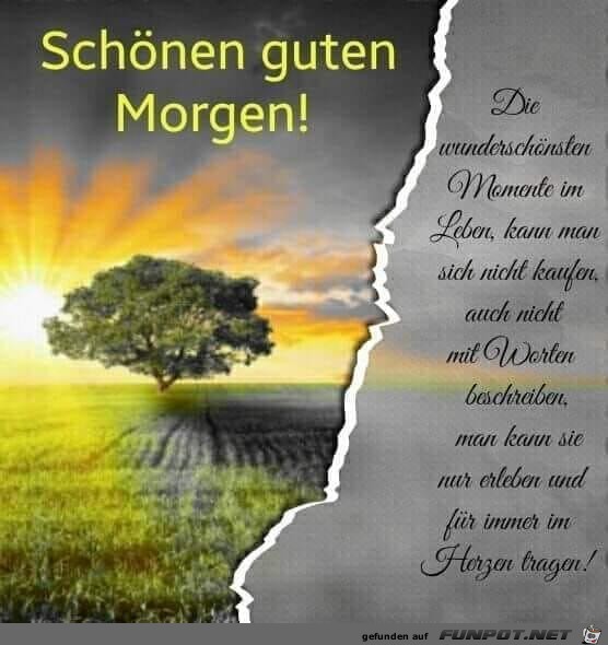 die wunderschoensten Momente